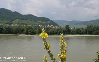 Gastautoren / Gastbeiträge 67 Flusskreuzfahrt – Donaukreuzfahrt 07-2020