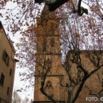 Bildnachweis 202 cr marion koch soller 622px