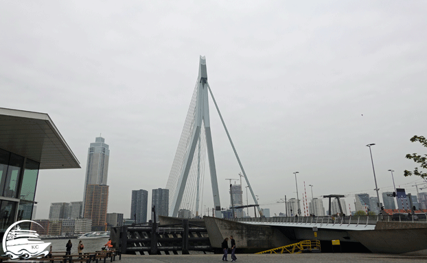 Die Erasmusbrücke Rotterdam auf eigene Faust - Die Erasmusbrücke