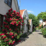 Bildnachweis 232 cr marion koch ausflugstipps visby bonbonladen 622px