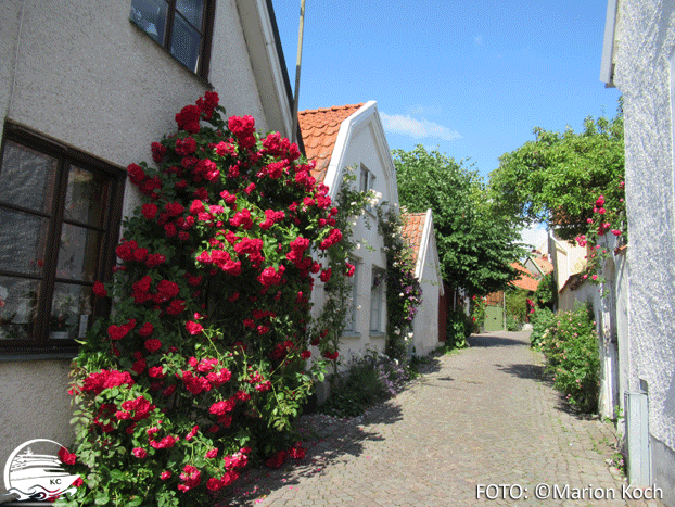 Gasse mit dem Bonbonladen aus Pippi Langstrumpf Ausflugstipps Visby - Gasse mit dem Bonbonladen aus Pippi Langstrumpf