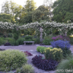 Bildnachweis 233 cr marion koch ausflugstipps visby botanischer garten 622px