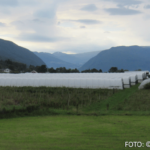 Bildnachweis 246 cr marion koch ausflugstipps vik gewaechshaeuser 622px