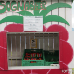 Bildnachweis 251 cr marion koch ausflugstipps vik sognebar 622px