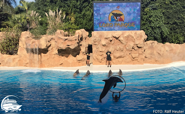 Show im Loro Parque Teneriffa mit Kids - Loro Parque
