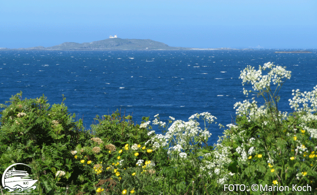 Aussicht von Godøy Ausflugstipps Ålesund - Aussicht von Godøy