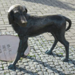 Bildnachweis 296 cr marion koch ausflugstipps klaipeda hund am hafen 622px