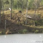 Bildnachweis 297 cr marion koch ausflugstipps klaipeda kurische nehrung 622px