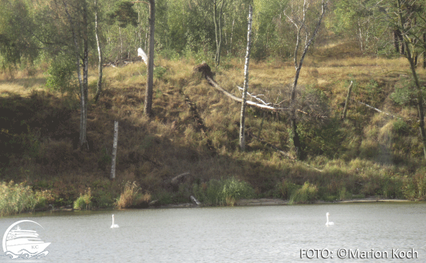 Kurische Nehrung Ausflugstipps Klaipėda - Kurische Nehrung