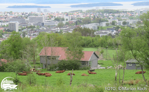 Blick vom Ullandhaug auf Stavanger Ausflugstipps Stavanger / Mekjarvik - Blick vom Ullandhaug auf Stavanger