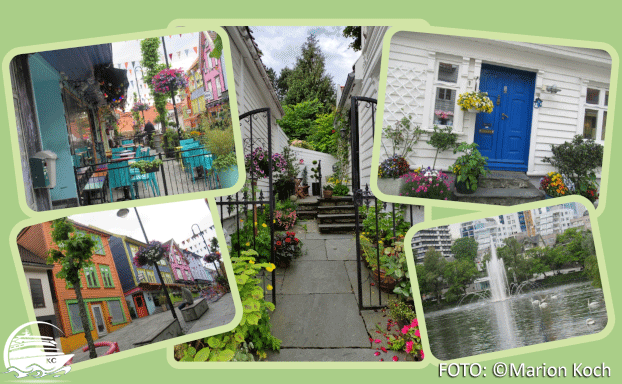 Øvre Holmegate, Gamle Stavanger und Breiavatnet Ausflugstipps Stavanger / Mekjarvik - Øvre Holmegate, Gamle Stavanger und Breiavatnet