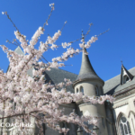 Bildnachweis 373 cr marion koch ausflugstipps kristiansand dom 1080px