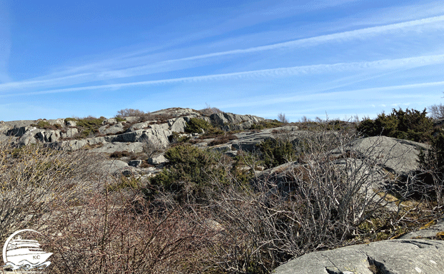 Fotostopp Hälsö Göteborg - Fotostopp Hälsö