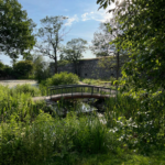 Bildnachweis 428 cr may mueller helsinki galerie garten auf suomenlinna 810hoch px