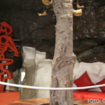 Bildnachweis 468 cr marion koch ausflugstipps lanzarote fundacion cesar manrique 622px