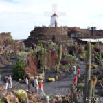 Bildnachweis 464 cr marion koch ausflugstipps lanzarote jardin de cactus 622px