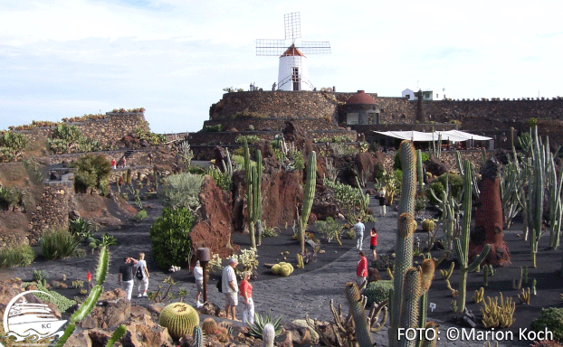 Jardín de Cactus Ausflugstipps Lanzarote - Jardín de Cactus