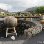 Bildnachweis 469 cr marion koch ausflugstipps lanzarote kakteengarten weingut el grifo 622px