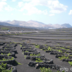 Bildnachweis 462 cr marion koch ausflugstipps lanzarote weinanbaugebiet la geria 622px
