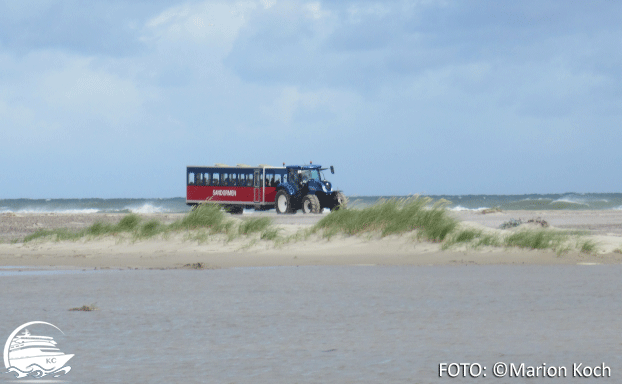 "Spritztour" durch die Dünenlandschaft Skagen - "Spritztour" durch die Dünenlandschaft