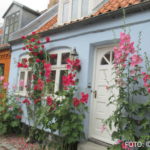 Bildnachweis 495 cr marion koch ausflugstipps aarhus mollestien 2 622px