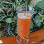 Bildnachweis 534 cr marion koch aida cocktails barkarte 2024 achwasachwas 622px