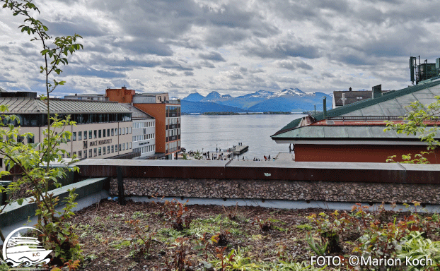 Blick vom Rosengarten Molde Sehenswürdigkeiten - Blick vom Rosengarten
