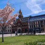 cr marion koch ausflugstipps kristiansand rathaus 622px
