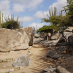 Bildnachweis 151 Aruba 04