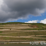 Bildnachweis 98 CR monika gask rheinufer 512px