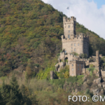 Bildnachweis 100 CR monika gask burg katz 512px