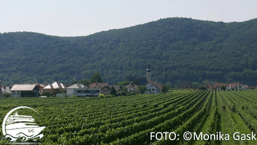 CR-monika_gask_weinberge-512px FOTO: ©Monika Gask