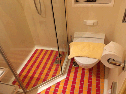 AIDAblu Kabine 8312 - Dusche und WC Blick auf Dusche und WC