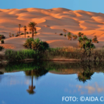 Bildnachweis 3 AIDA Orient